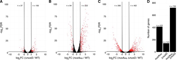 NusG is an intrinsic transcription termination factor that stimulates ...