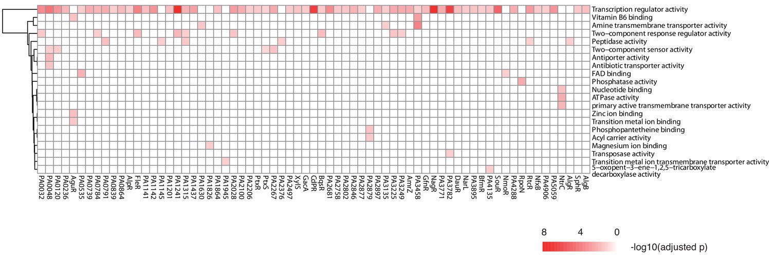 An atlas of the binding specificities of transcription factors in ...