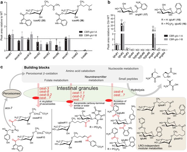 The metabolite alpha-ketobutyrate extends lifespan by promoting peroxisomal  function in C. elegans