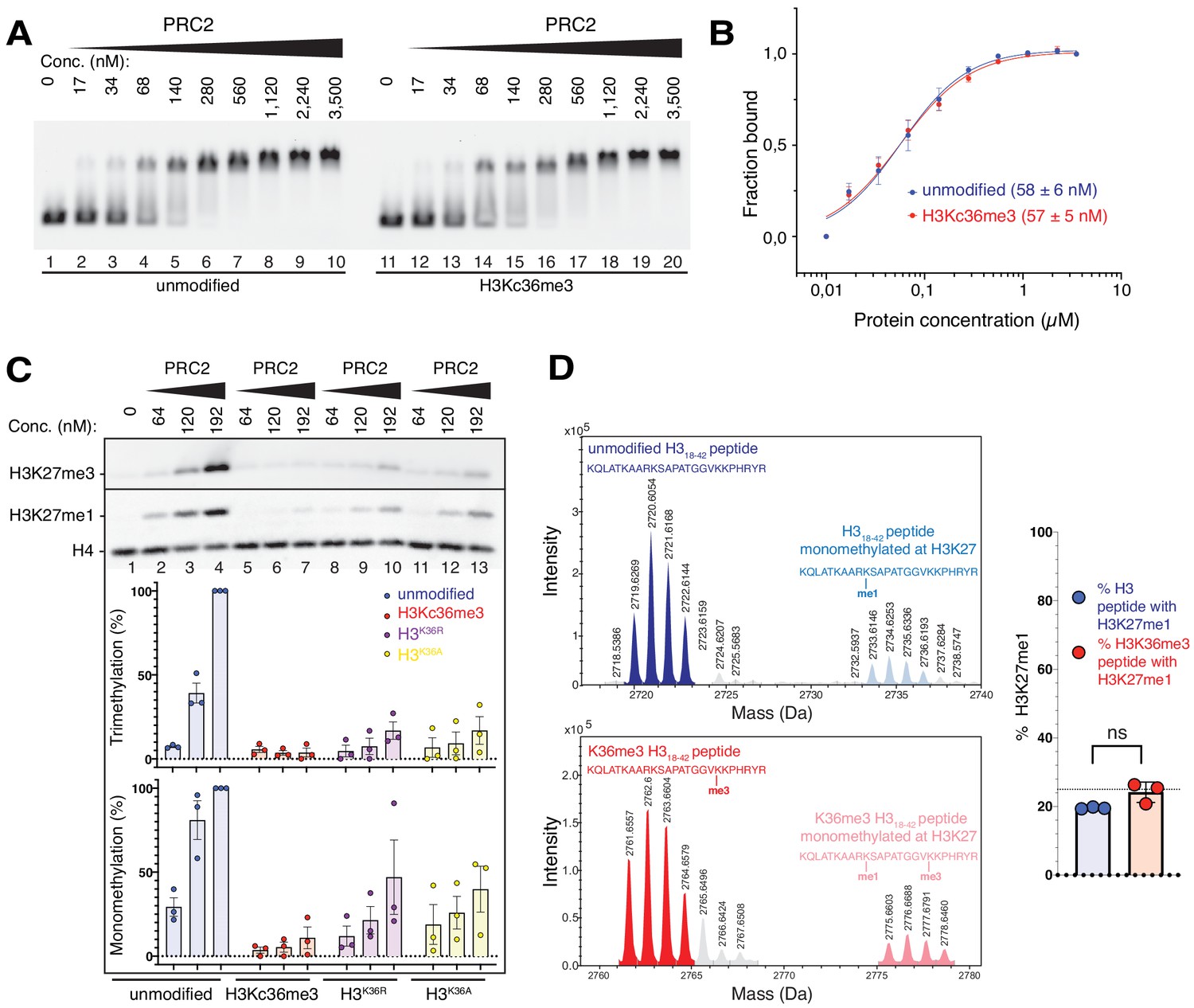 Structural basis for PRC2 decoding of active histone methylation marks ...