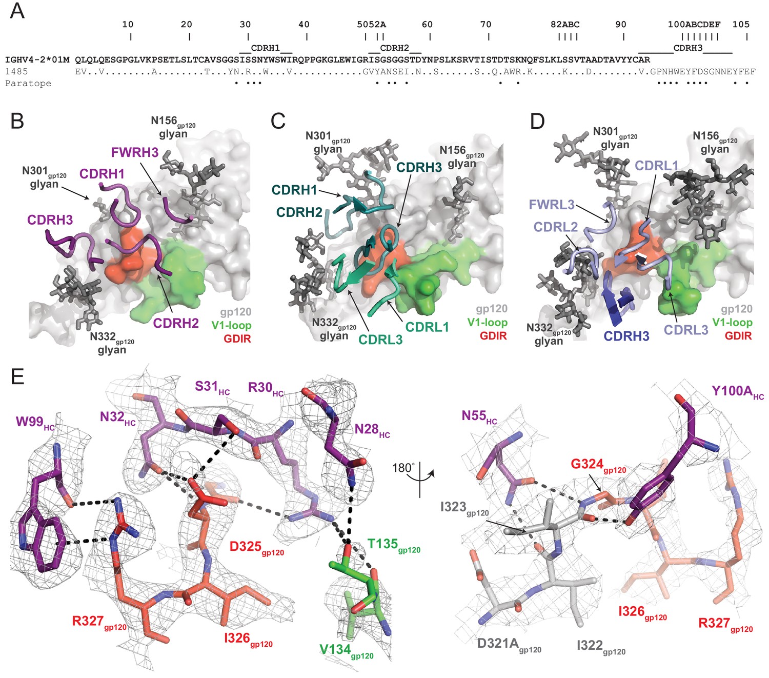 A Broadly Neutralizing Macaque Monoclonal Antibody Against The Hiv 1 V3 Glycan Patch Elife