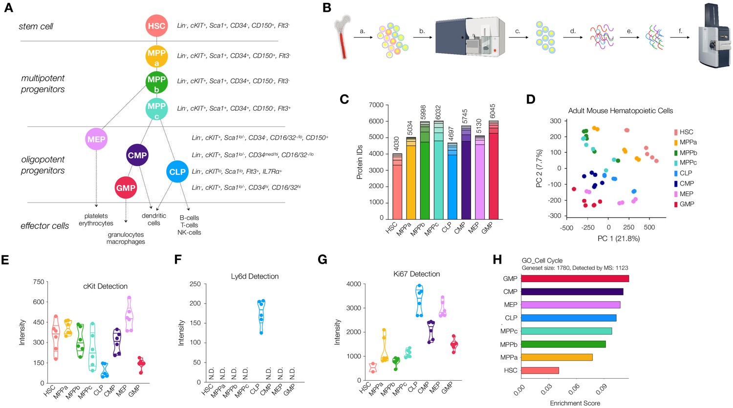 Proteomic analysis of young and old mouse hematopoietic stem cells