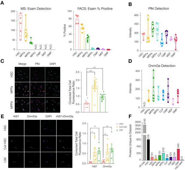 Figures and data in Proteomic analysis of young and old mouse ...