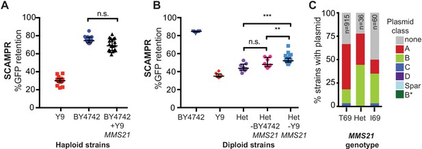 Figures and data in A natural variant of the essential host gene MMS21 ...