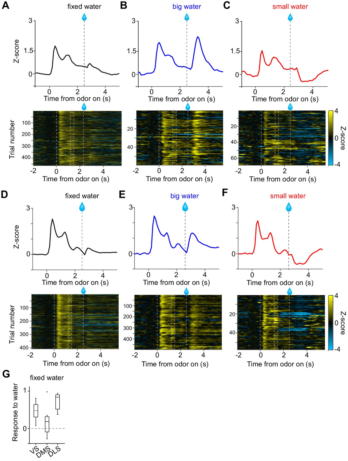 Distinct temporal difference error signals in dopamine axons Distinct temporal difference error signals in dopamine axons