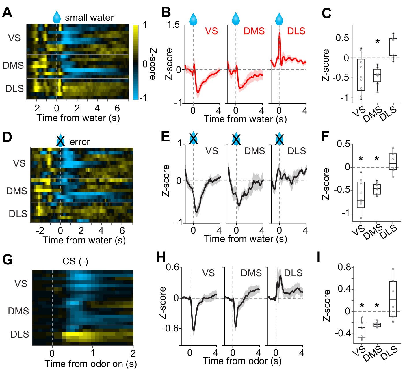 Distinct temporal difference error signals in dopamine axons