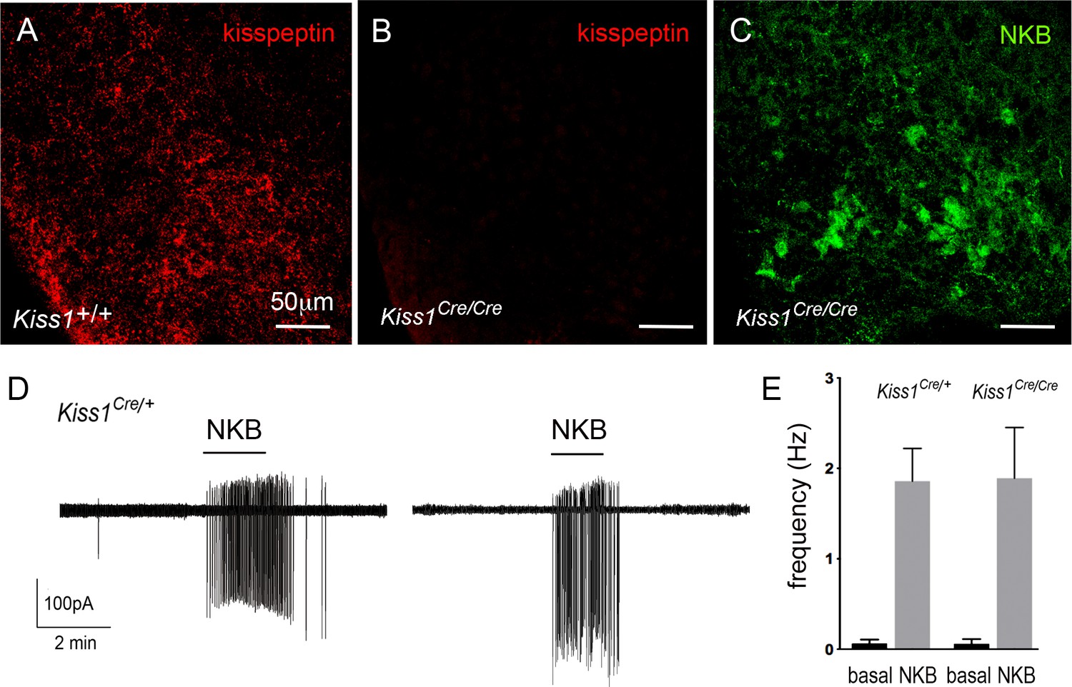 Figures And Data In Highly Redundant Neuropeptide Volume Co