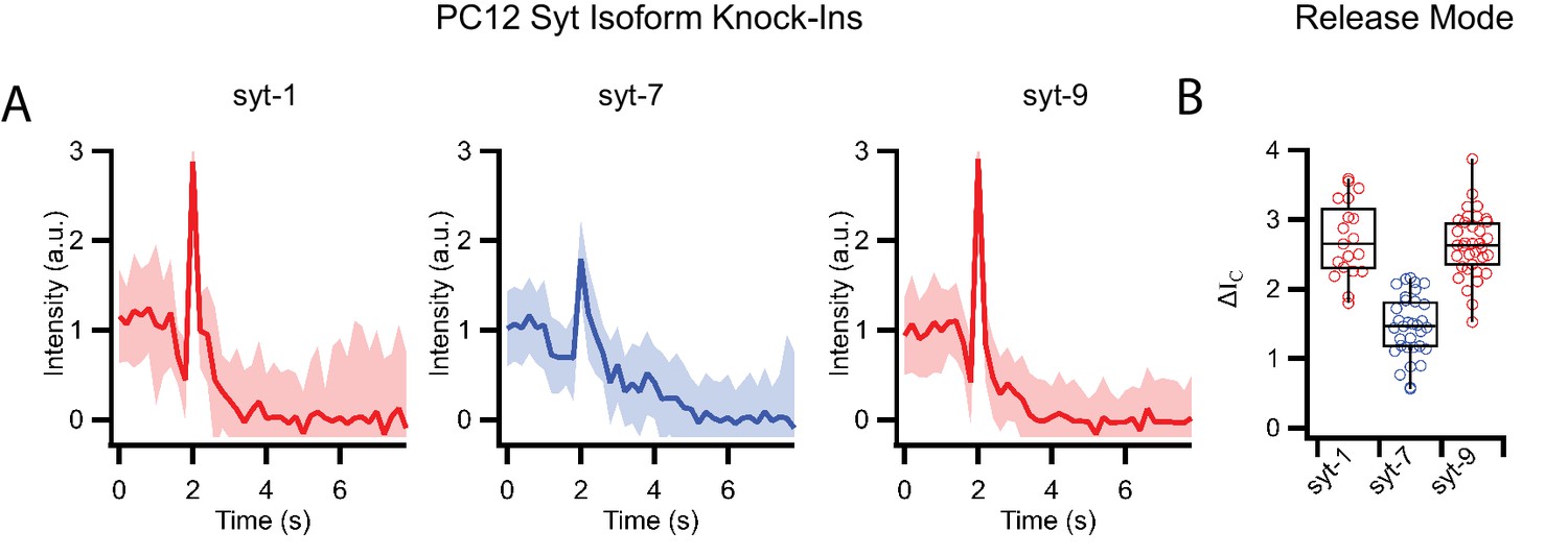 Figures and data in Distinct insulin granule subpopulations implicated ...