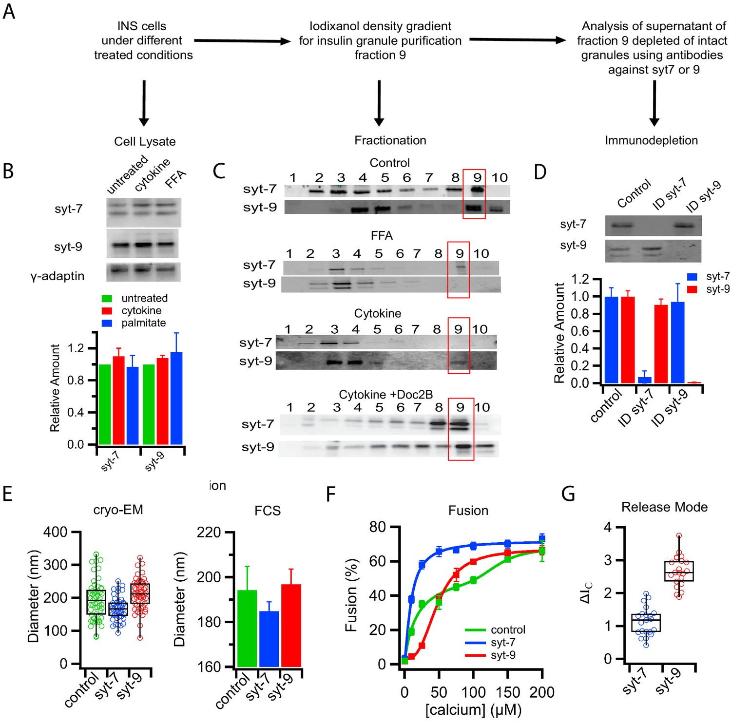 Distinct Insulin Granule Subpopulations Implicated In The Secretory 