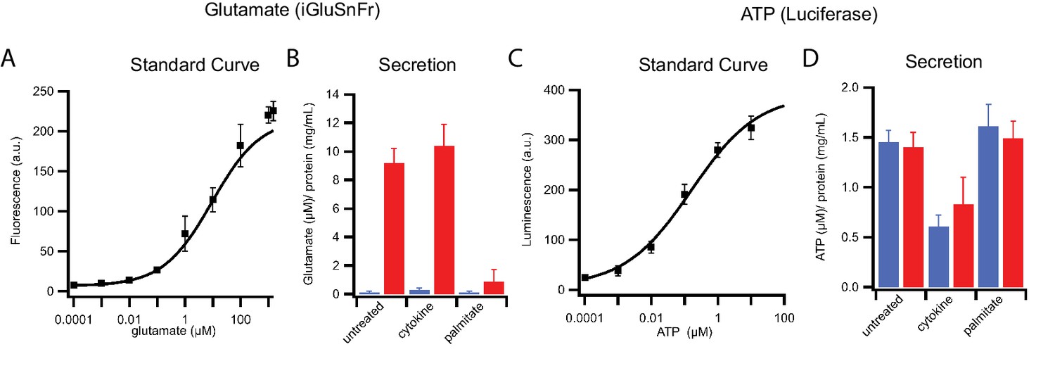 Figures and data in Distinct insulin granule subpopulations implicated ...