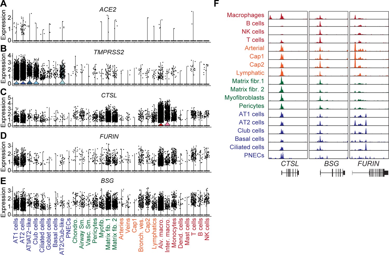 Figures and data in single cell multiomic profiling of human lungs