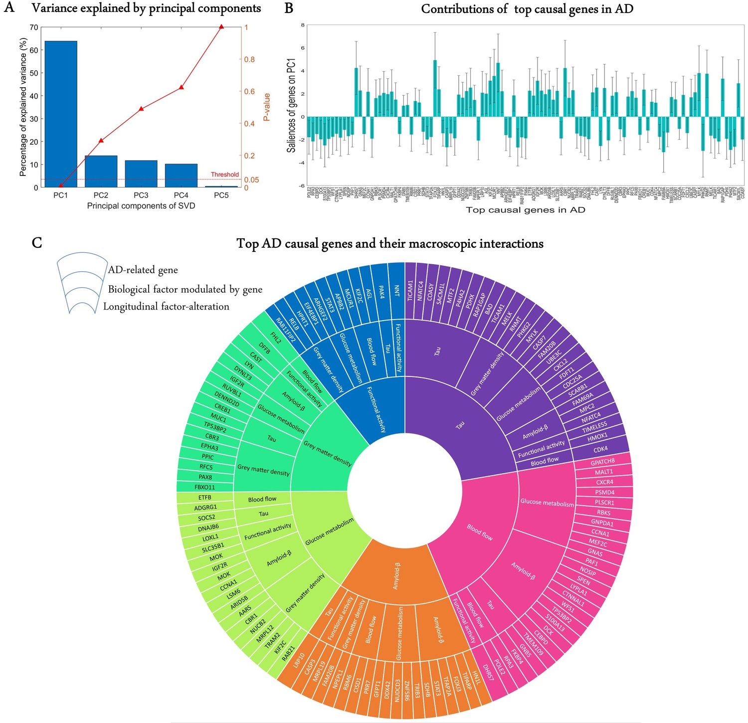 Integrated transcriptomic and neuroimaging brain model decodes 