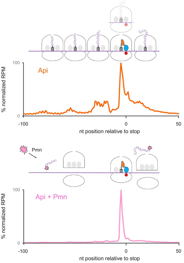 Figures and data in Genome-wide effects of the antimicrobial peptide ...