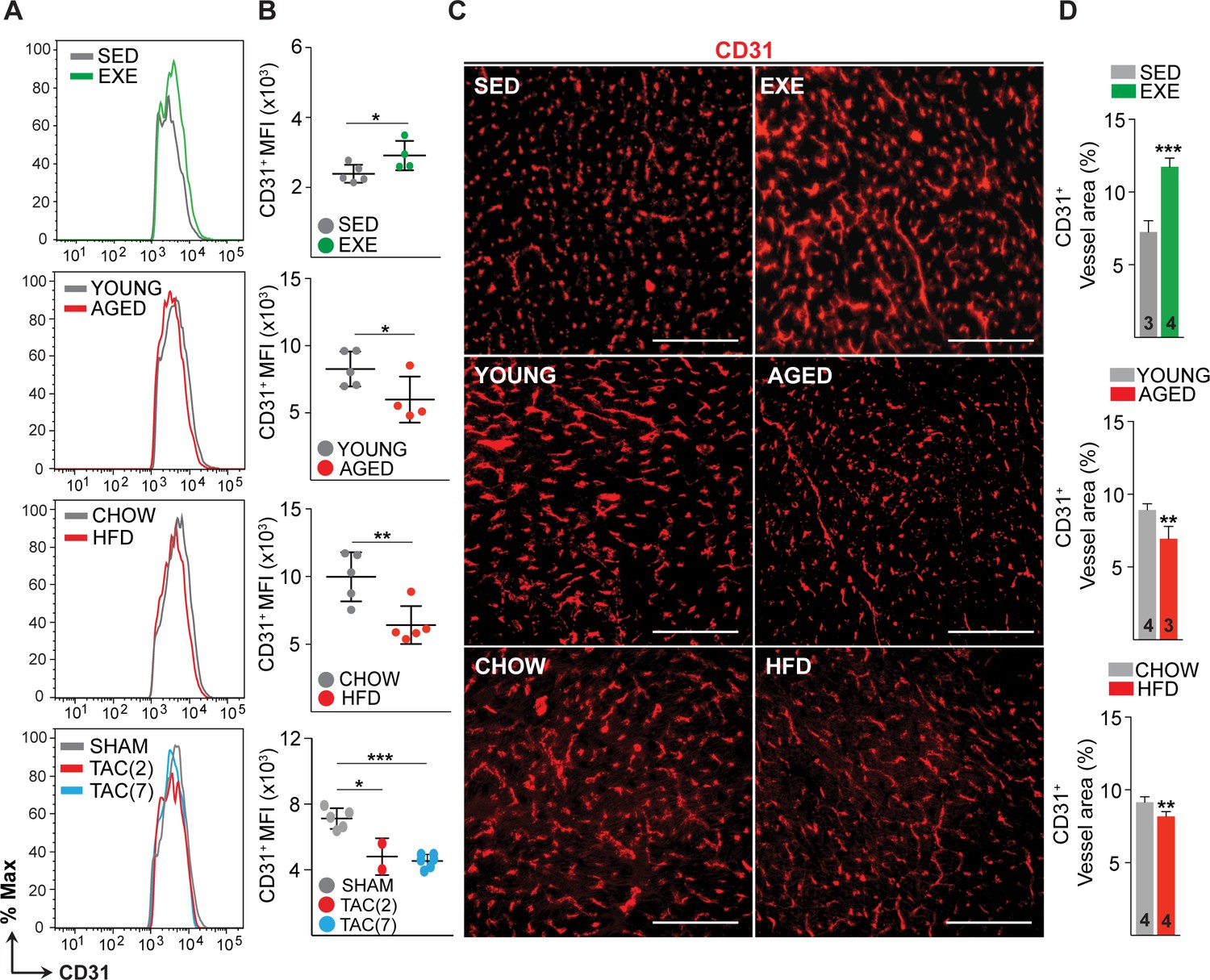 Cardiovascular disease risk factors induce mesenchymal