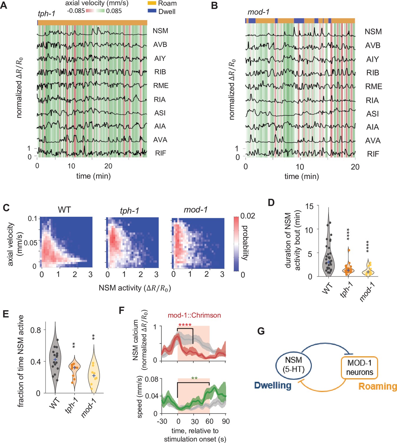 A neural circuit for flexible control of persistent behavioral states ...