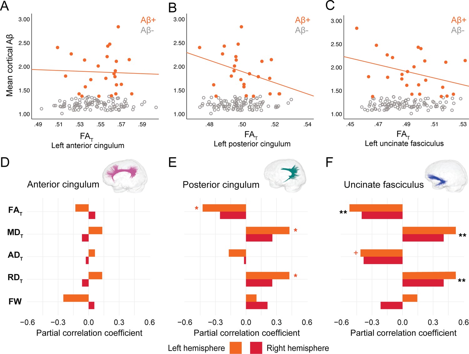 Bundle-specific associations between white matter