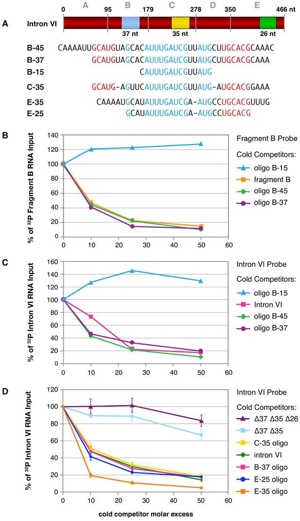 Figures And Data In Dose Dependent Action Of The Rna Binding Protein Fox 1 To Relay X Chromosome 6292