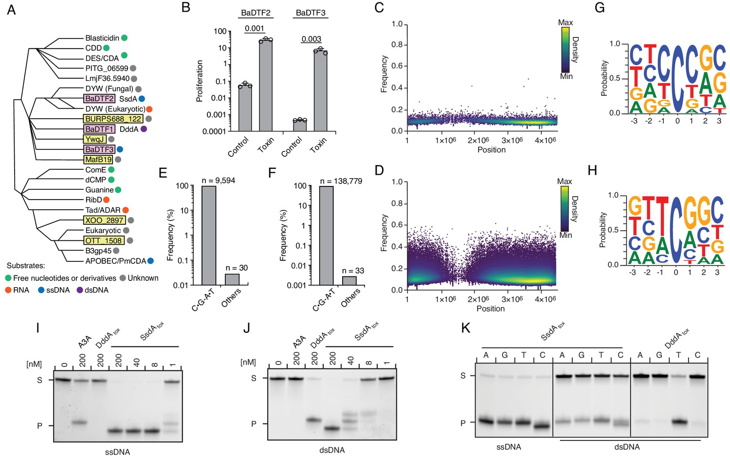 An Interbacterial Dna Deaminase Toxin Directly Mutagenizes Surviving 