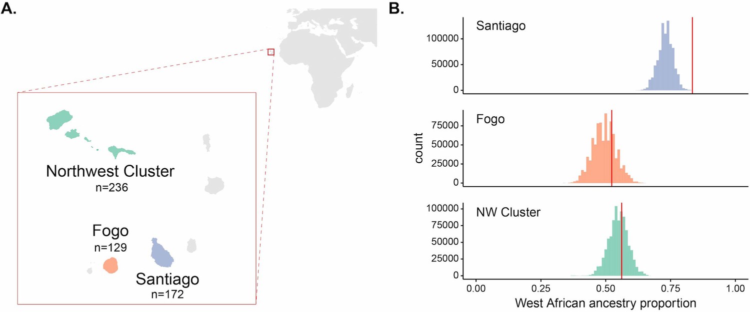 Rapid adaptation to malaria facilitated by admixture in the
