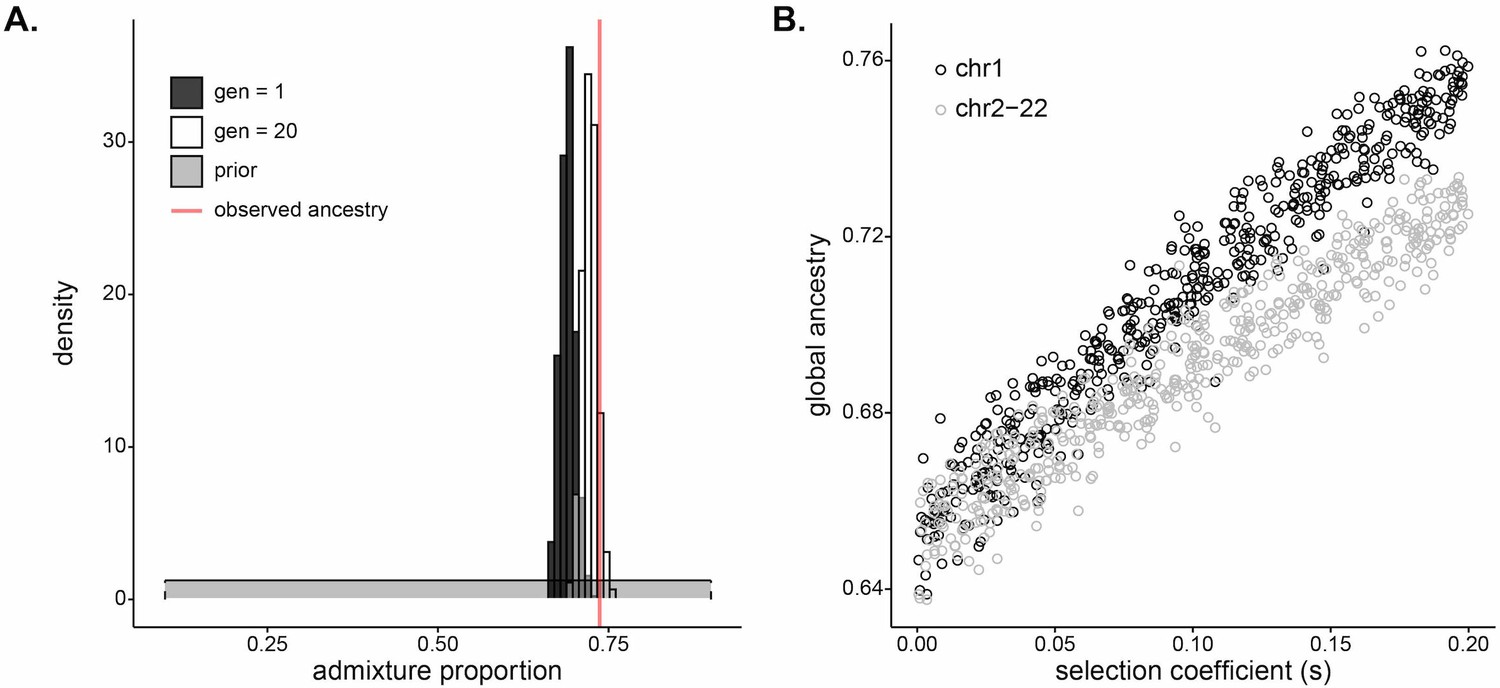 Rapid adaptation to malaria facilitated by admixture in the human  population of Cabo Verde | eLife