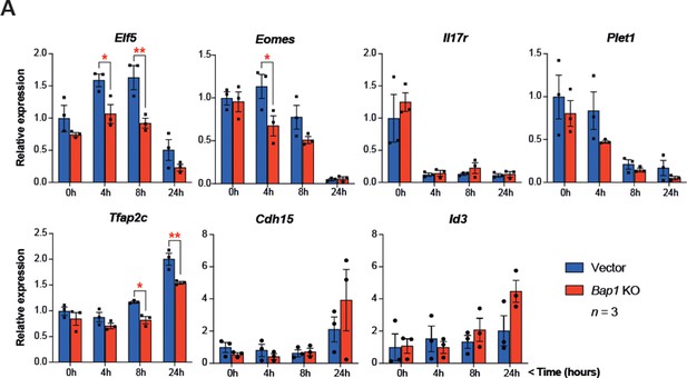 Figures And Data In BAP1/ASXL Complex Modulation Regulates Epithelial ...