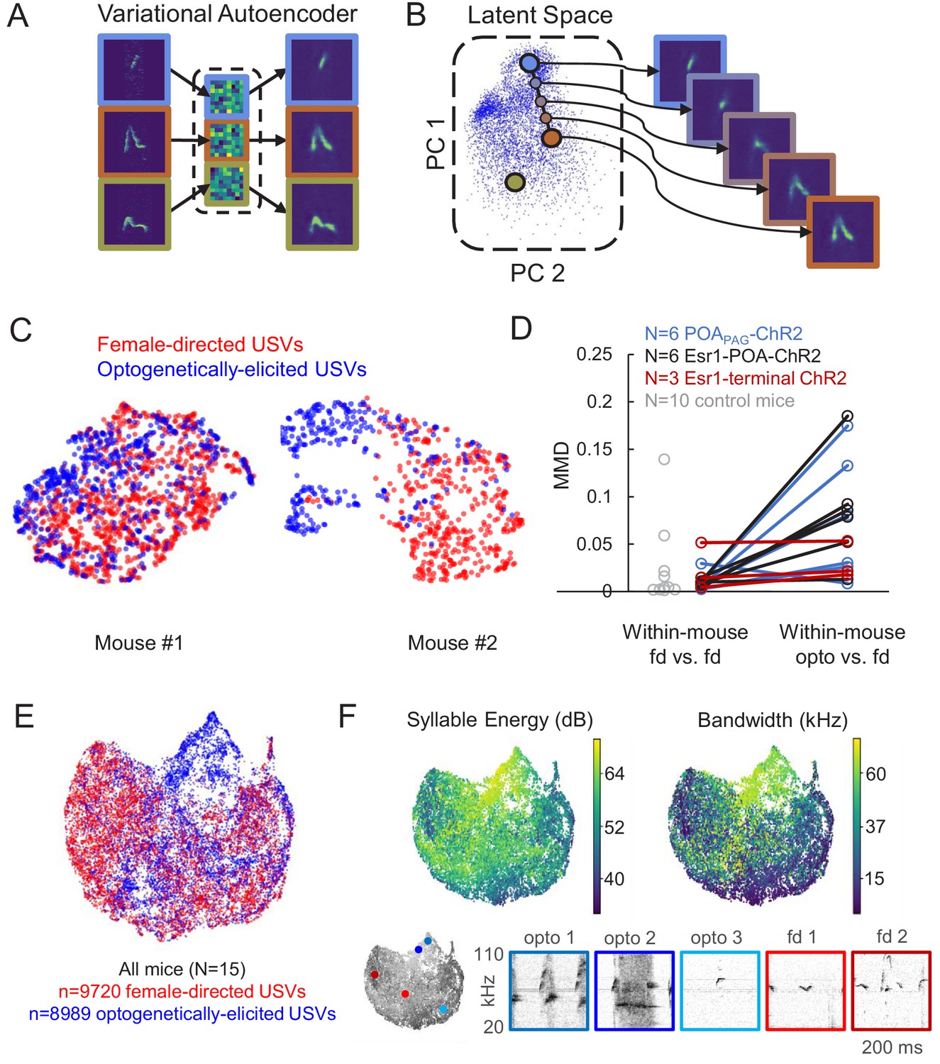 Circuit and synaptic organization of forebrain-to-midbrain