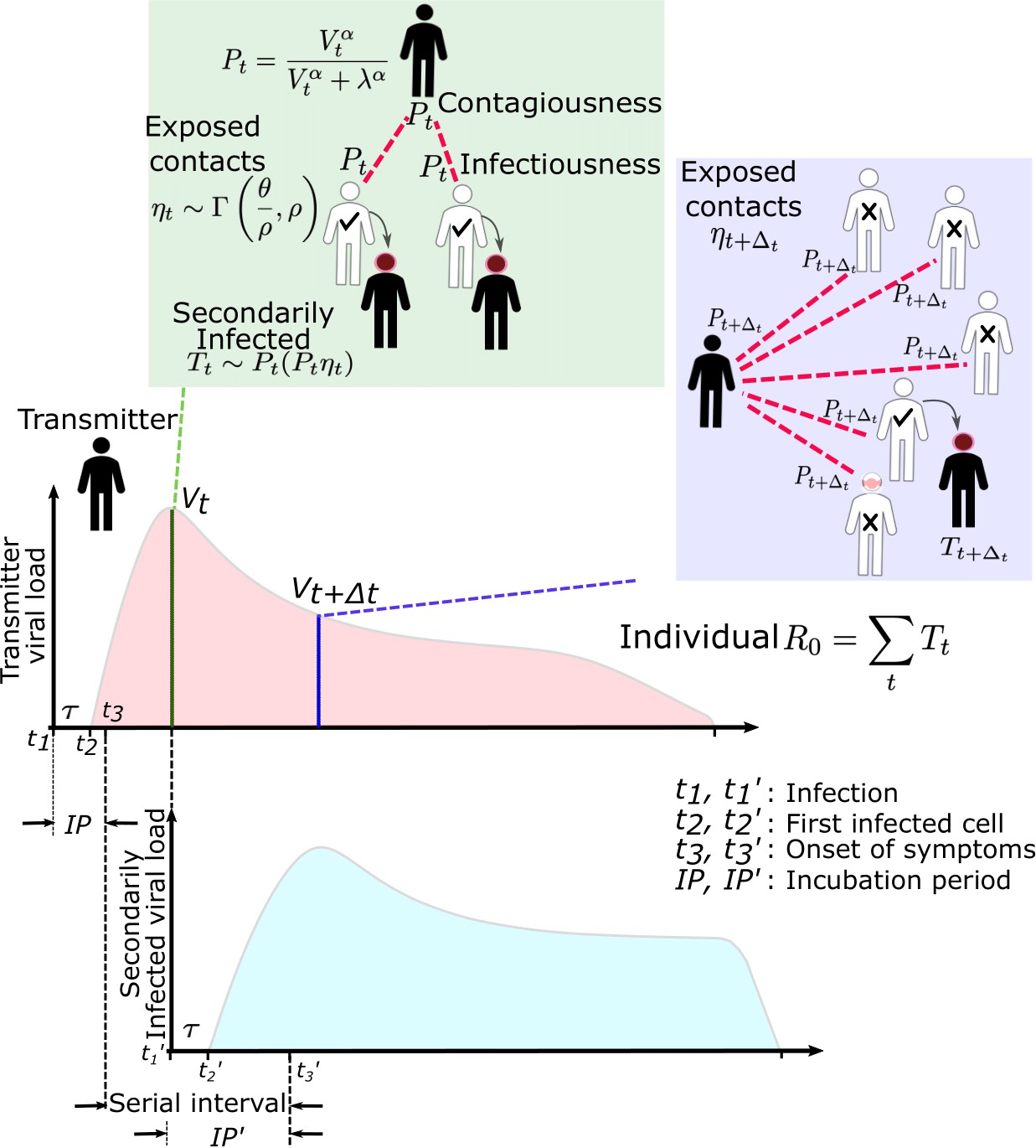 SARS-CoV-2 viral load is associated with increased disease severity and  mortality