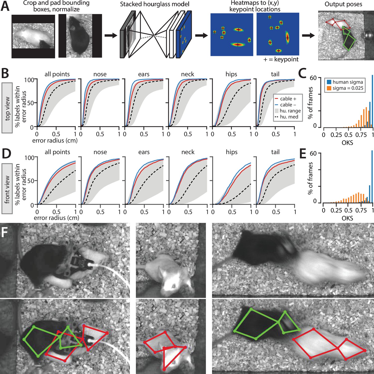 3D mouse pose from single-view video and a new dataset