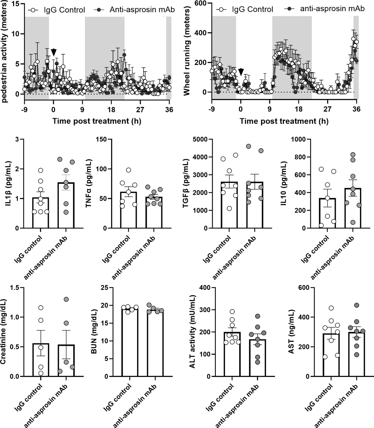 Asprosin-neutralizing antibodies as a treatment for metabolic 