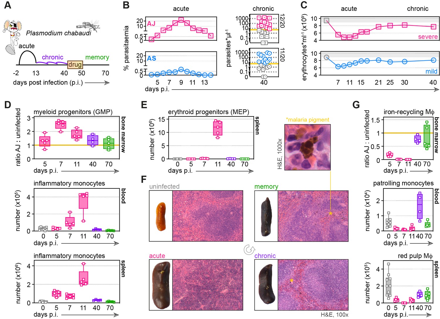 Figures And Data In Inducible Mechanisms Of Disease Tolerance Provide