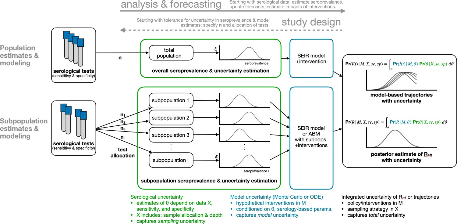 Bayesian modelling for COVID-19 seroprevalence studies