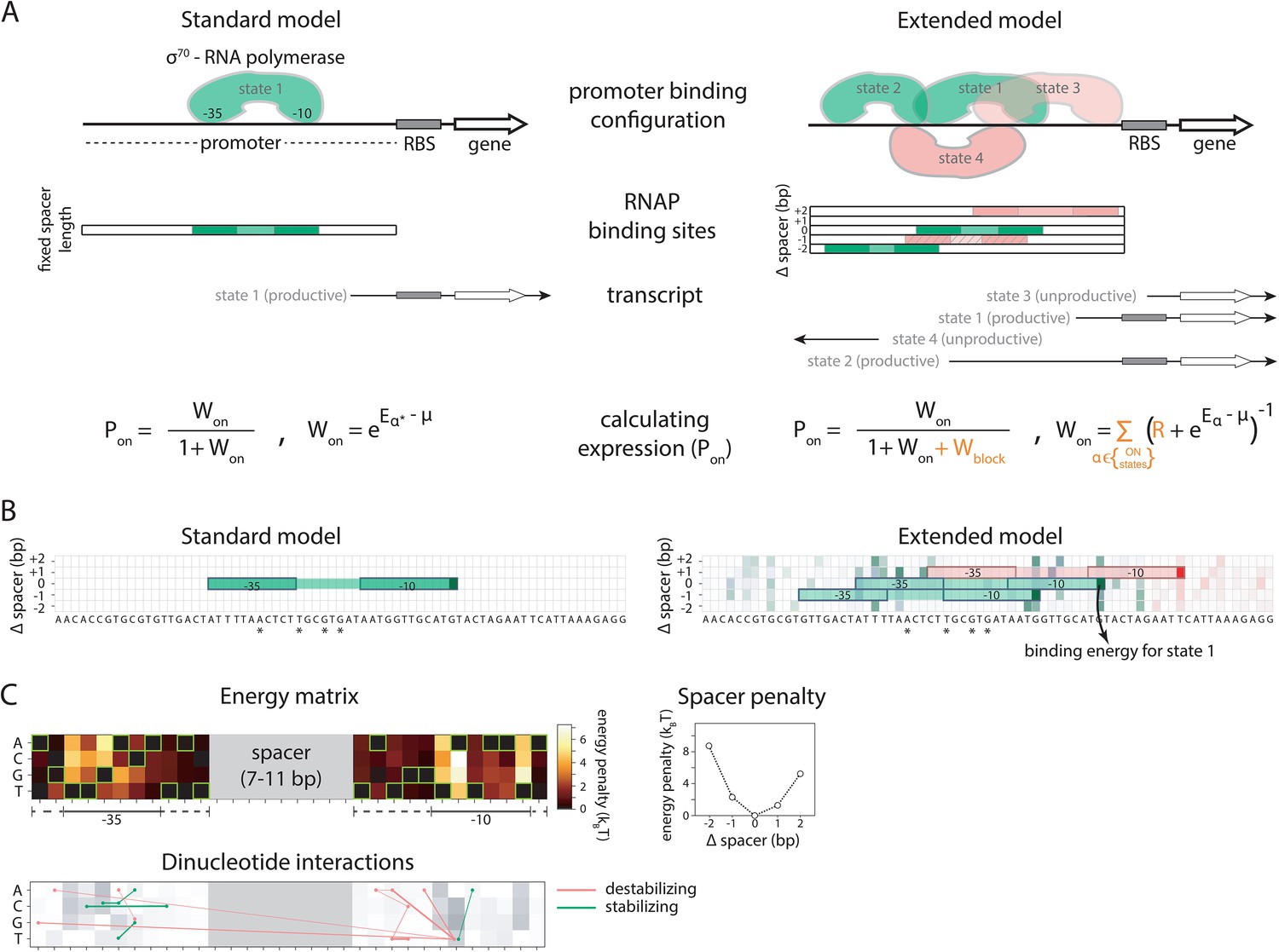 predicting-bacterial-promoter-function-and-evolution-from-random