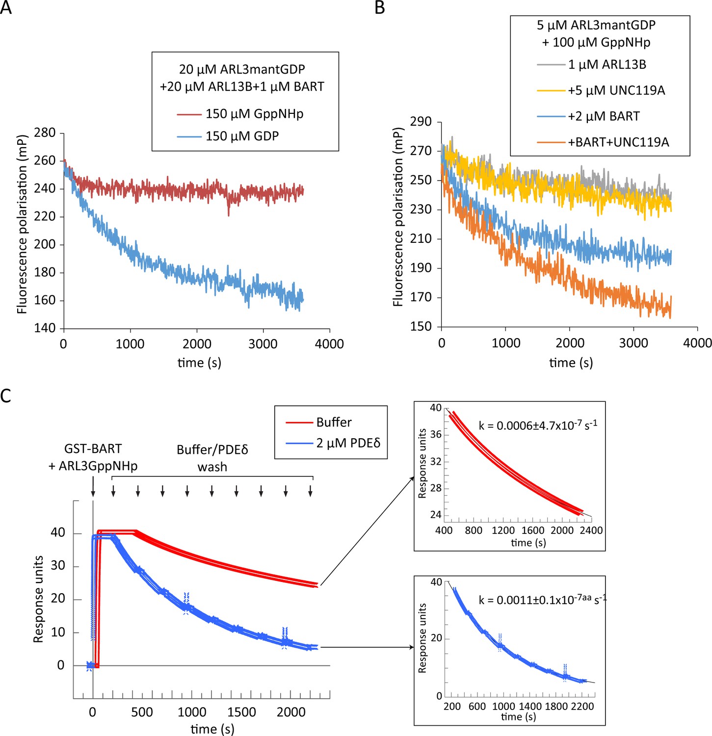 A G-protein Activation Cascade From Arl13B To Arl3 And