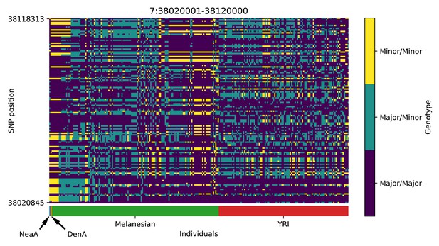 Frontiers | AURKA inhibitor-induced PD-L1 upregulation