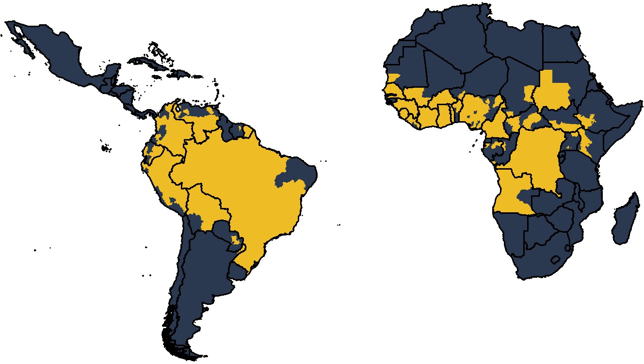 The Global Burden Of Yellow Fever Elife