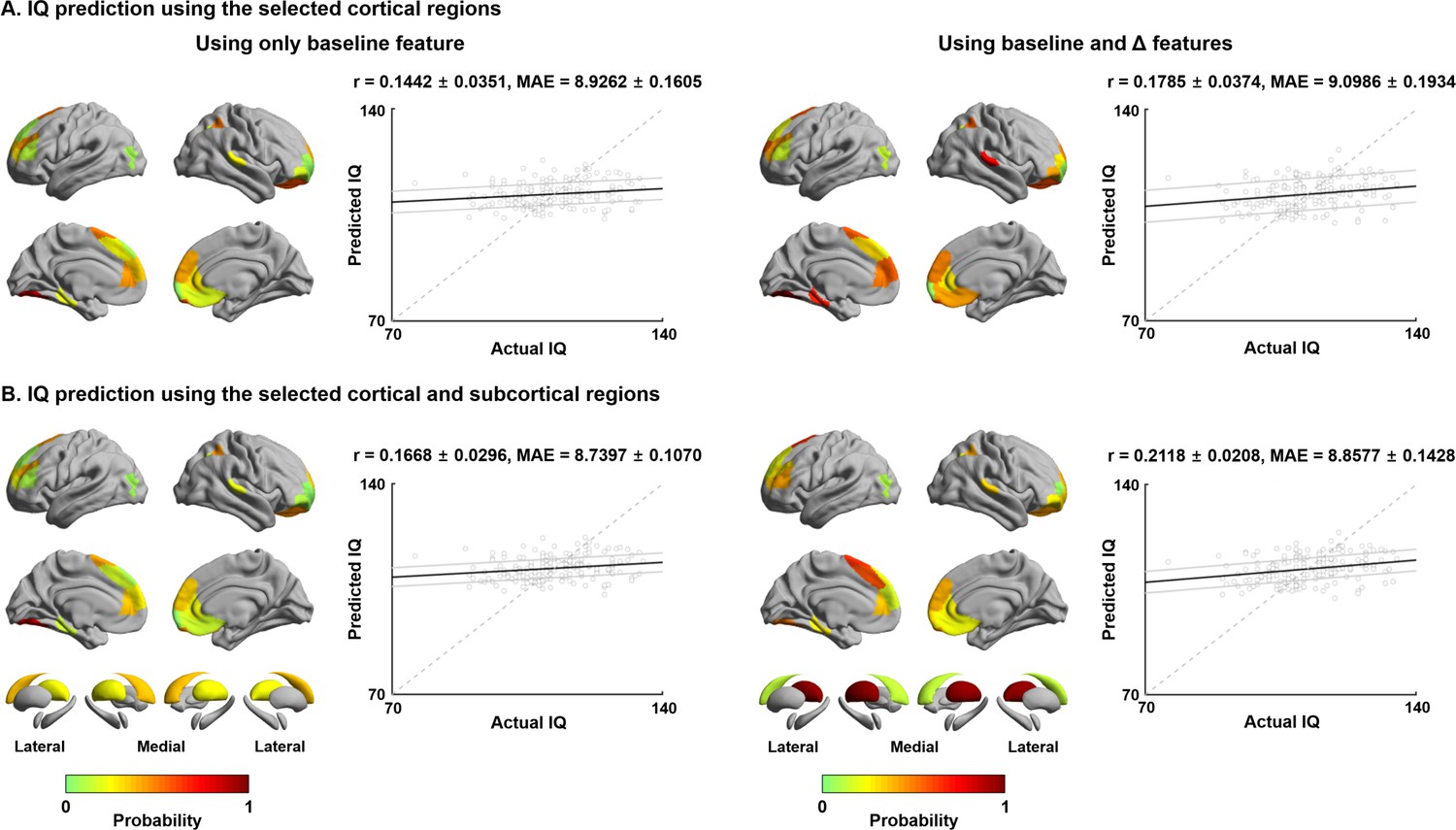 An expanding manifold in transmodal regions characterizes