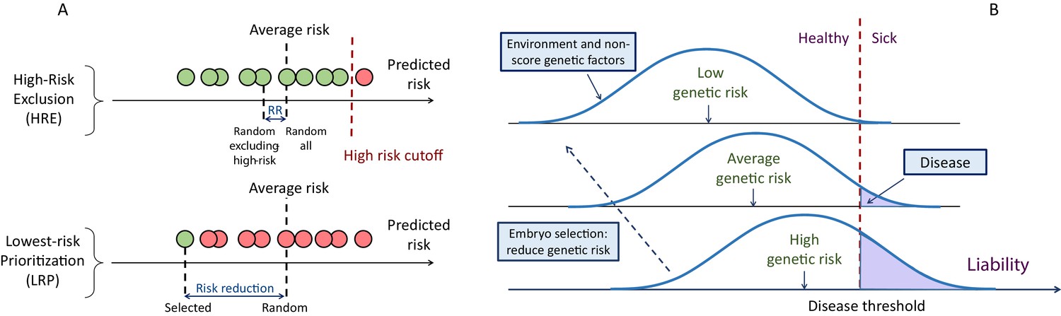 Utility Of Polygenic Embryo Screening For Disease Depends On The ...