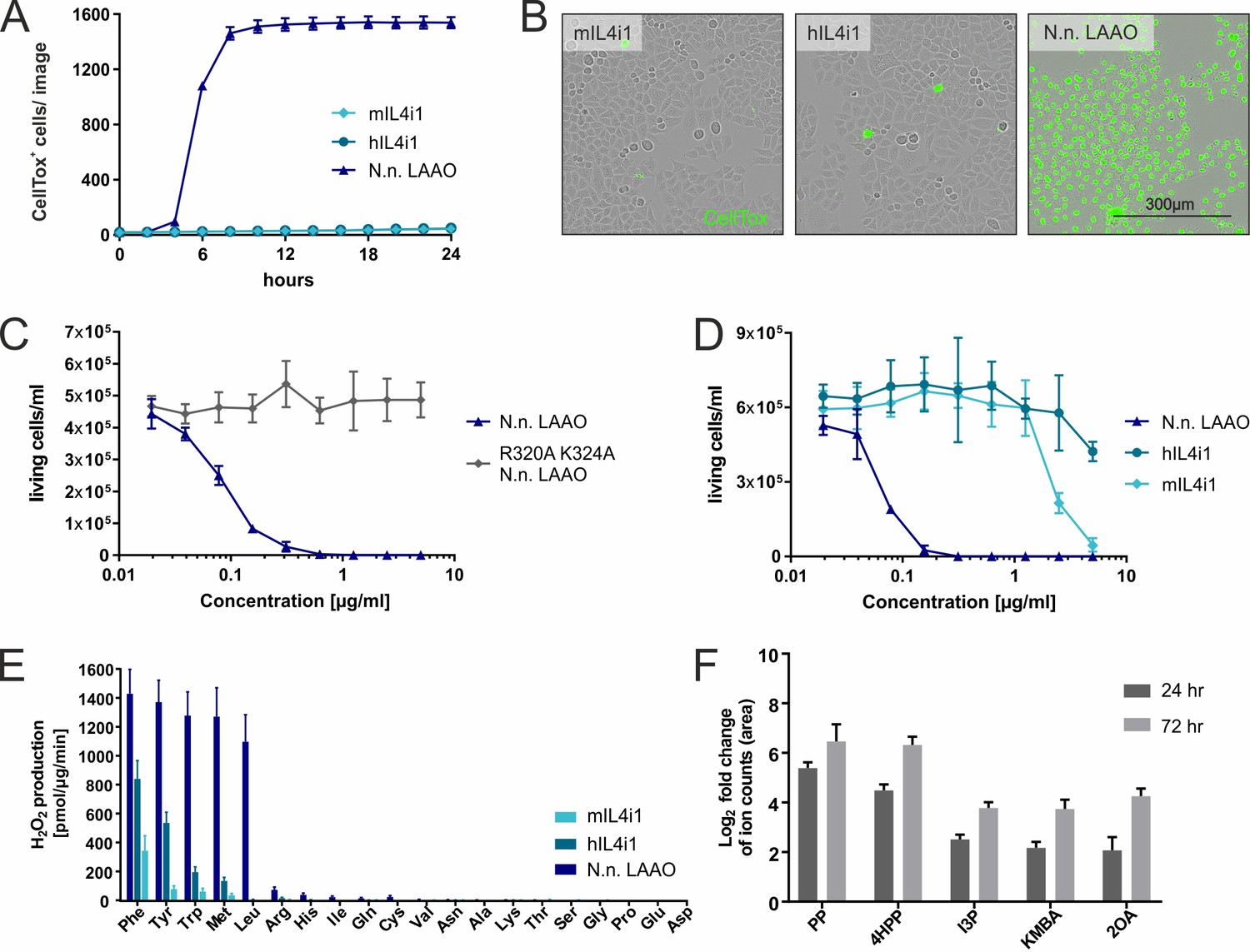 タム The interaction between E3 ubiquitin ligase Parkin and
