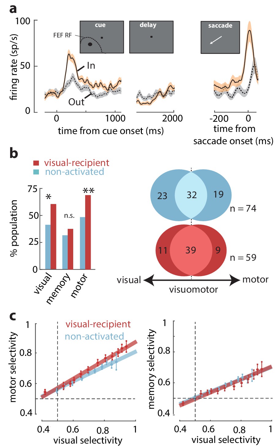 Working memory gates visual input to primate prefrontal