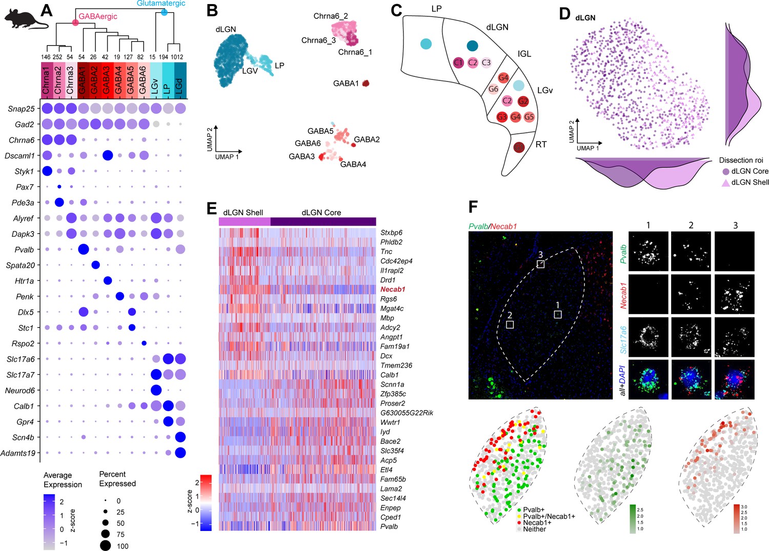 Single Cell And Single Nucleus Rna Seq Uncovers Shared And Distinct Axes Of Variation In Dorsal