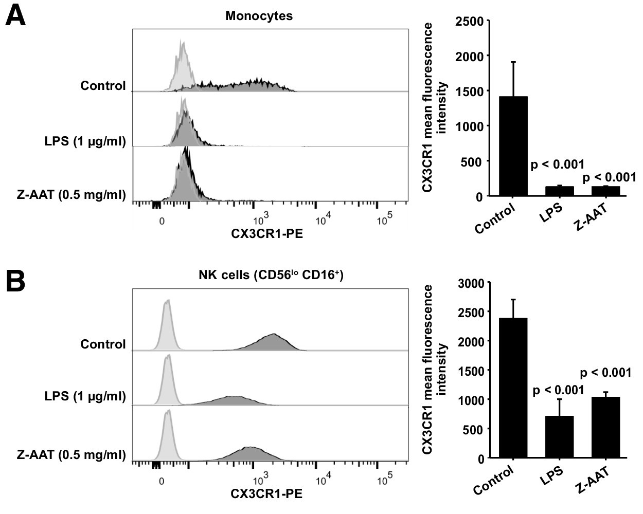 Polymerization of misfolded Z alpha-1 antitrypsin protein