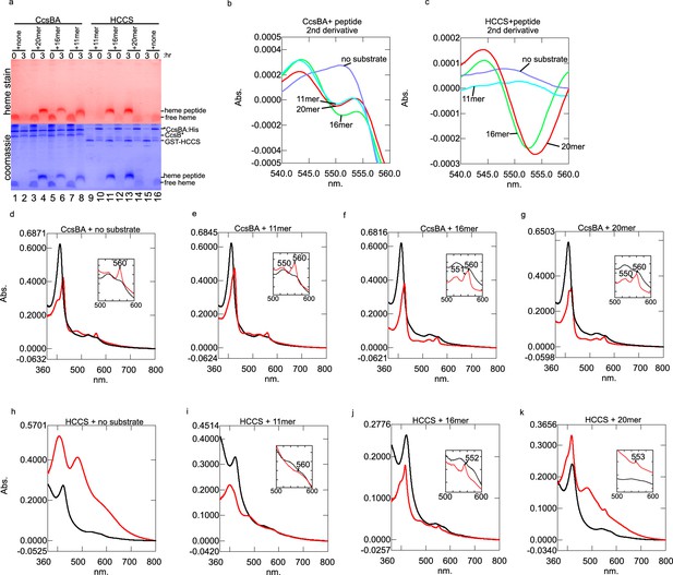 Figures And Data In In Vitro Reconstitution Reveals Major Differences ...