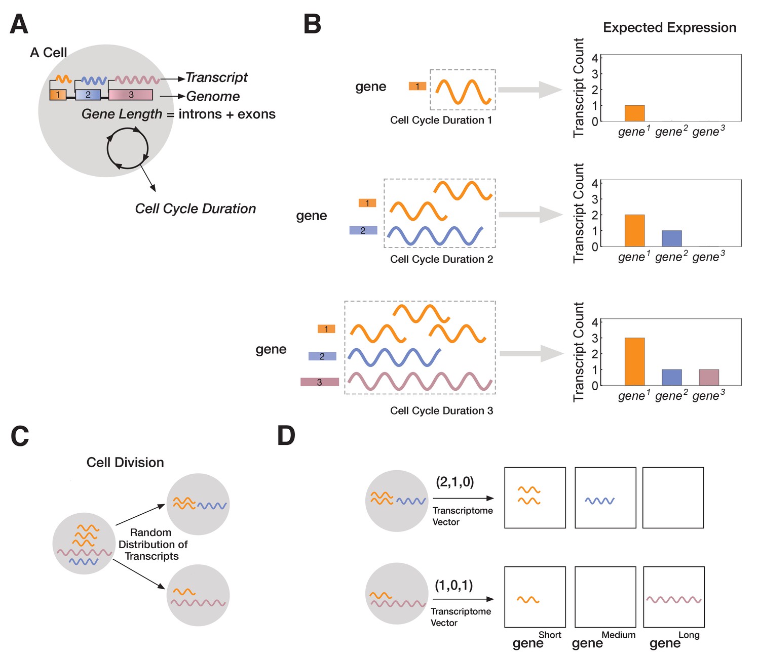 Figures And Data In Control Of Tissue Development And Cell Diversity By