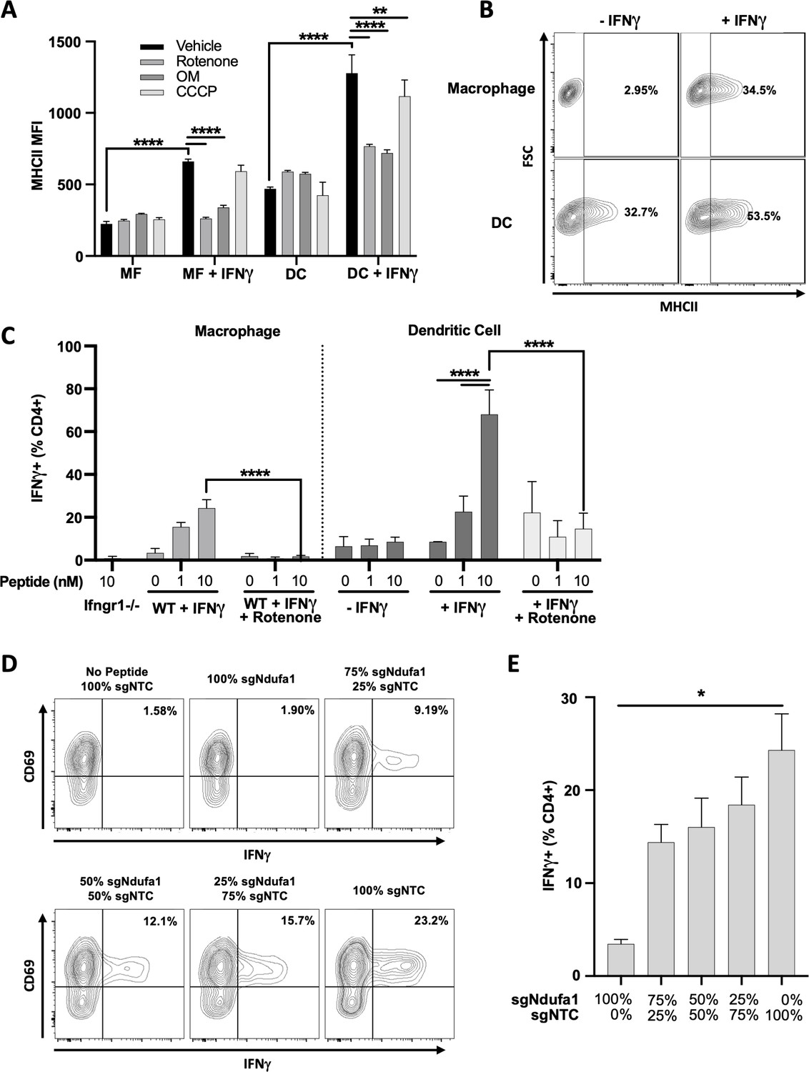 Mitochondrial respiration contributes to the interferon gamma