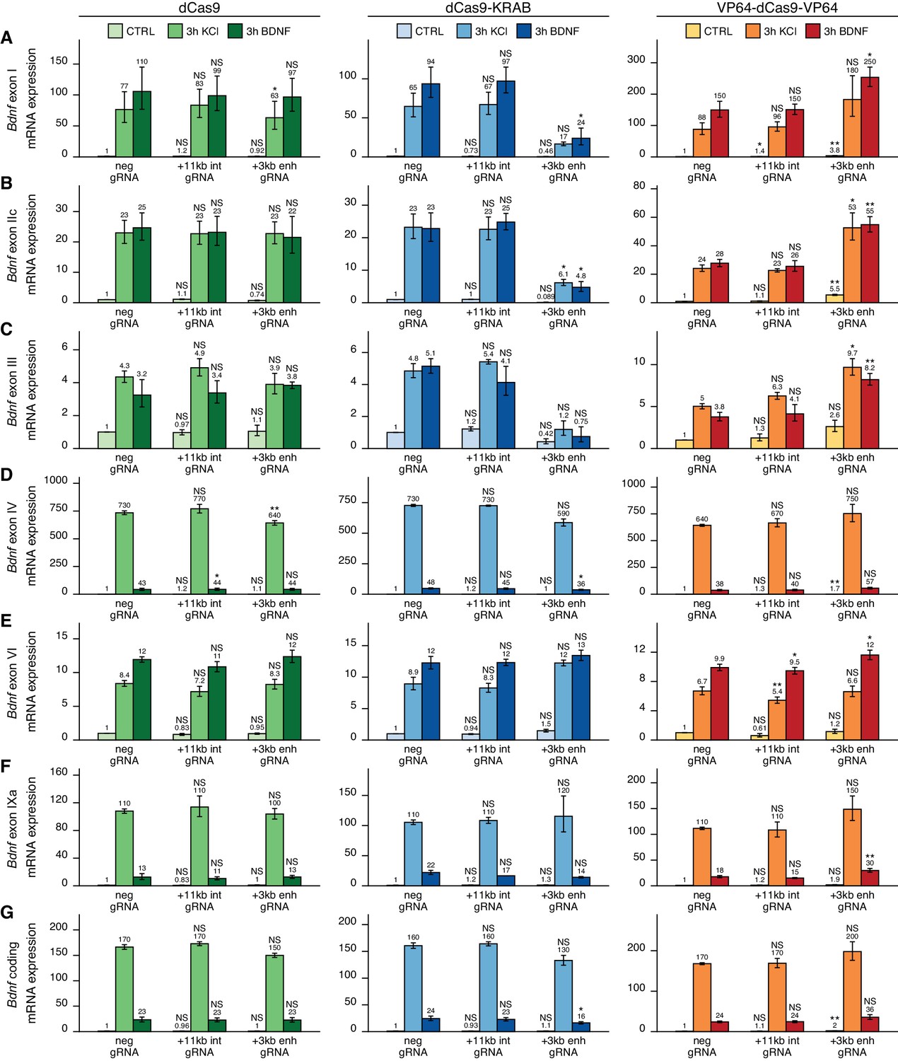 Intronic Enhancer Region Governs Transcript-specific Bdnf Expression In 