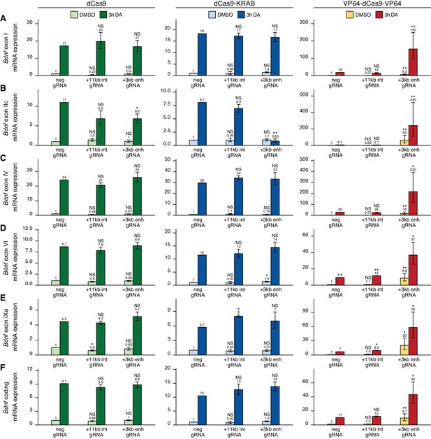 Figures and data in Intronic enhancer region governs transcript ...