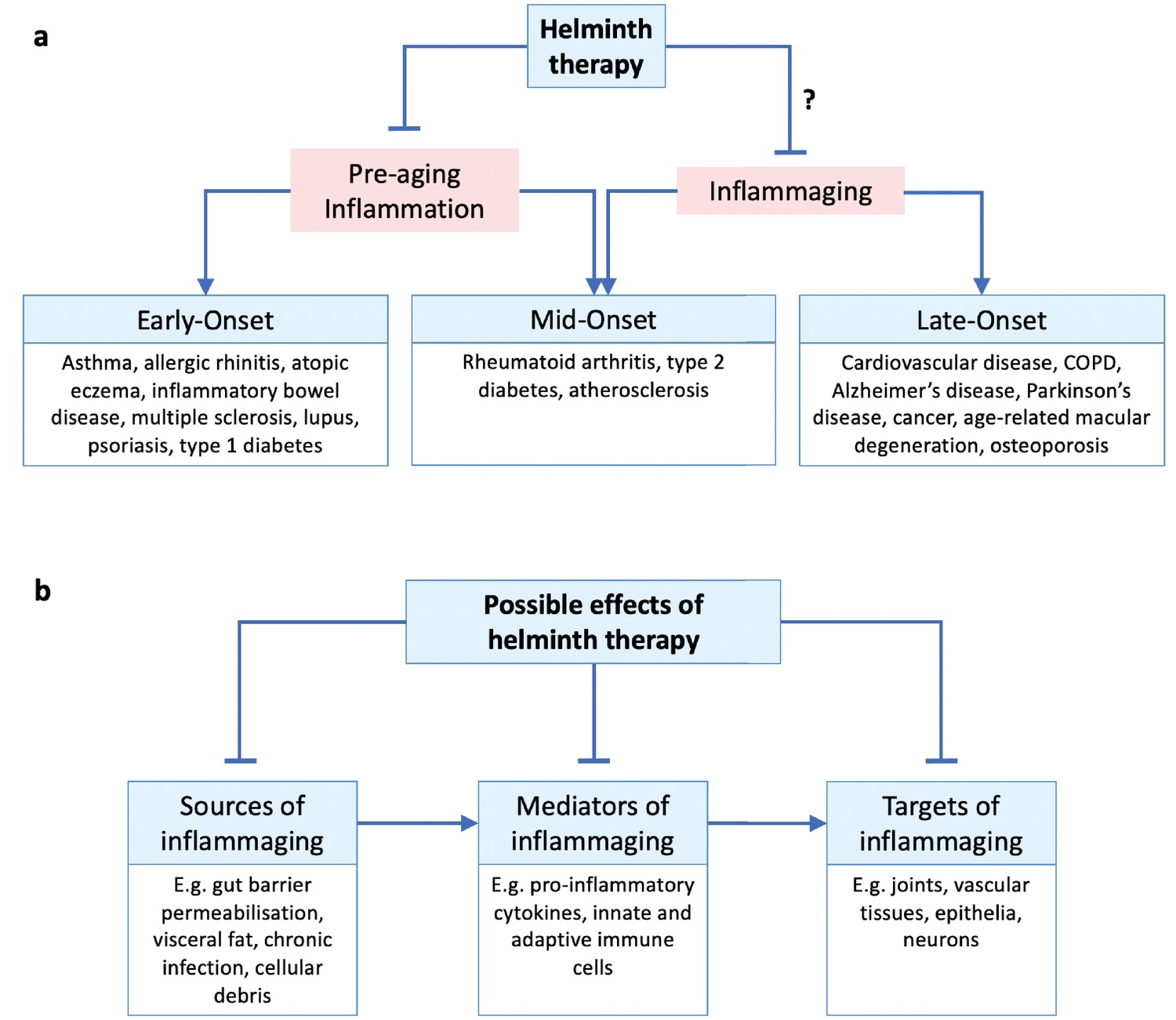 Helminthic therapy definition. Helminth infections description