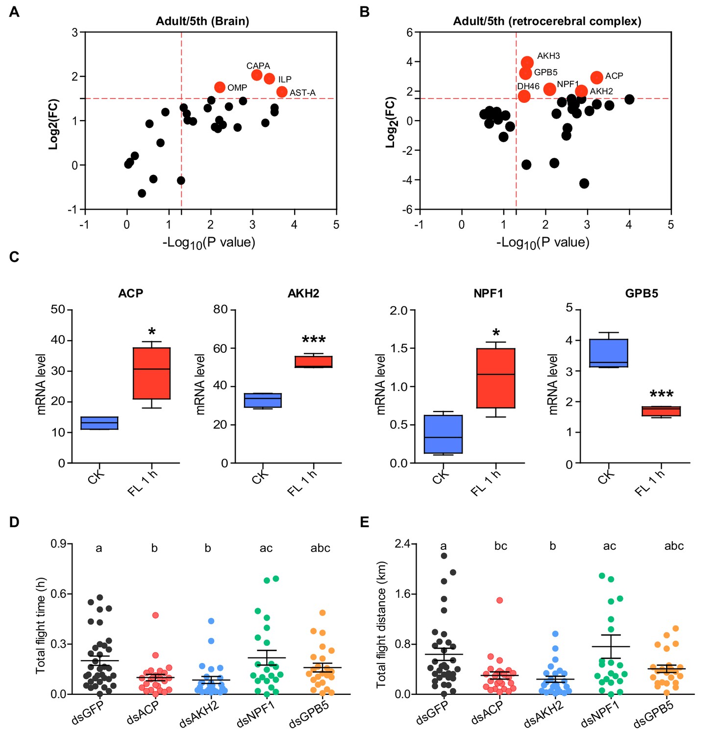 Neuropeptide ACP facilitates lipid oxidation and utilization during ...