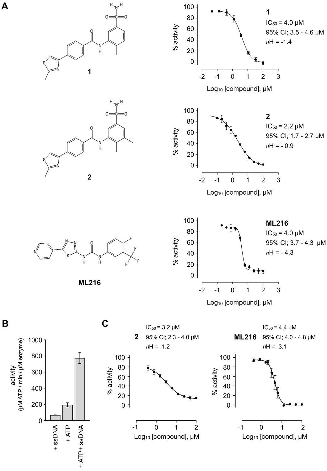 Uncovering An Allosteric Mode Of Action For A Selective Inhibitor Of Human Bloom Syndrome Protein Elife