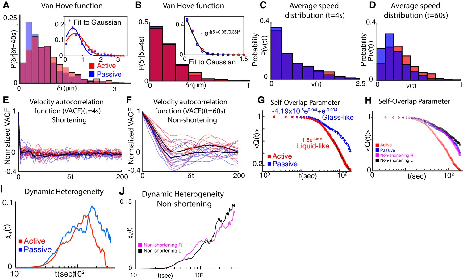 Figures And Data In Mechanical Heterogeneity Along Single Cell-cell ...